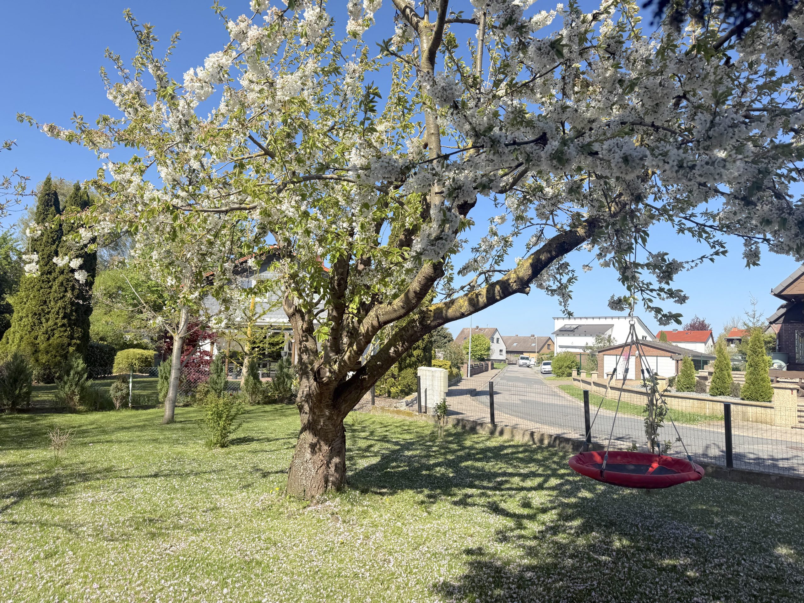Baum